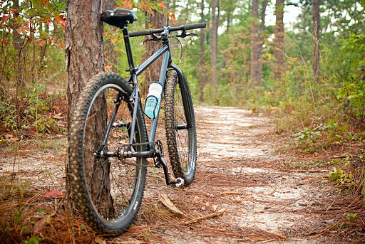 By Robert S. Donovan from Adams, NY, USA (29er trail ride Uploaded by Fredlyfish4) [CC-BY-2.0 (http://creativecommons.org/licenses/by/2.0)], via Wikimedia Commons