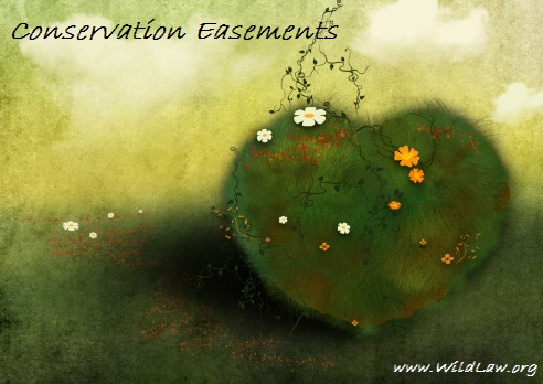 conservation easements