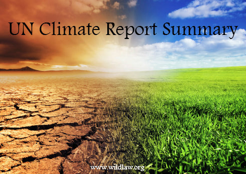 UN Climate Report Summary