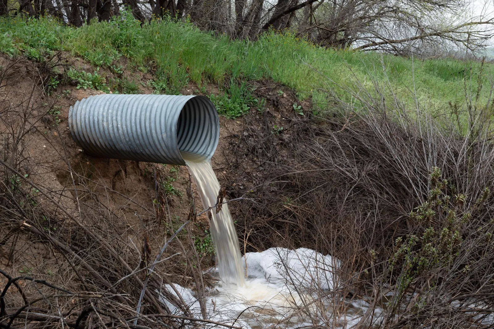 Rural drainage pipe releasing water into a natural gully lined with green vegetation