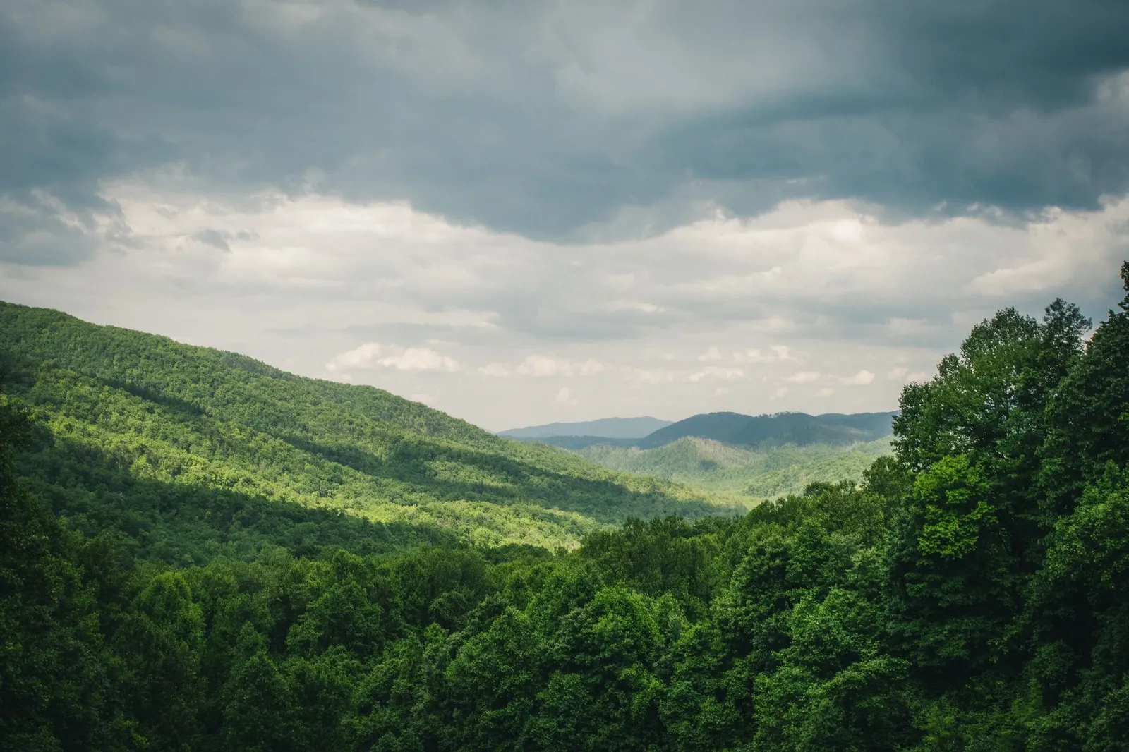 Forested mountain ridges stretching into the distance under a cloudy sky, with autumn colors in the foreground