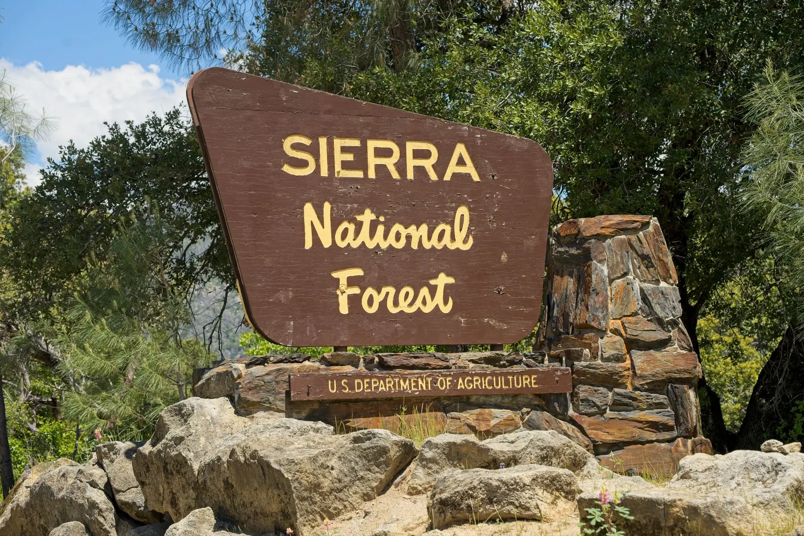 A wooden U.S. Department of Agriculture sign at the entrance of a national forest, among rocks and oaks