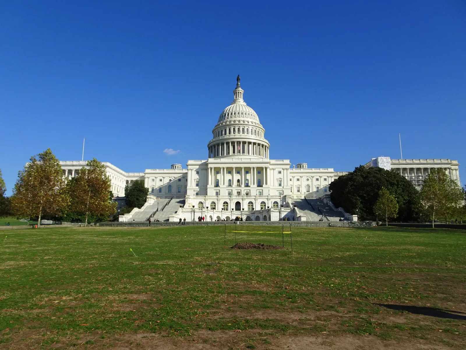The dome of the United States Capitol in Washington, D.C., behind a lawn and trees under a blue sky